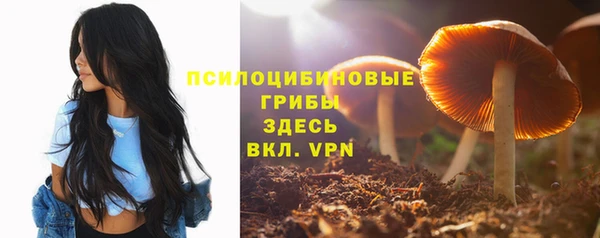 MDMA Premium VHQ Зеленокумск