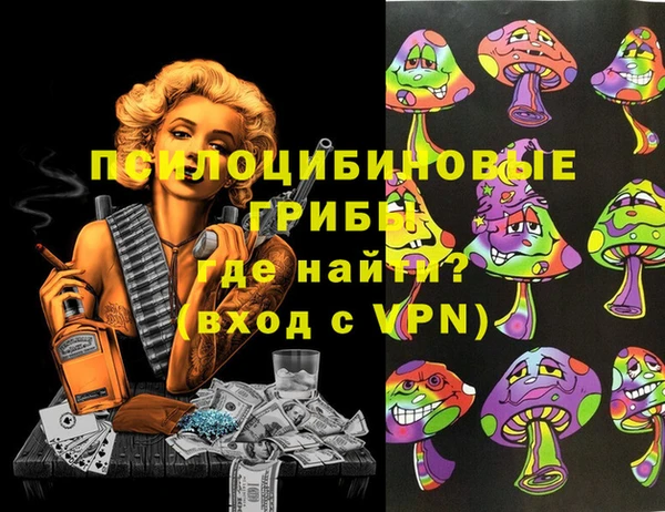 ГАЛЛЮЦИНОГЕННЫЕ ГРИБЫ Краснотурьинск