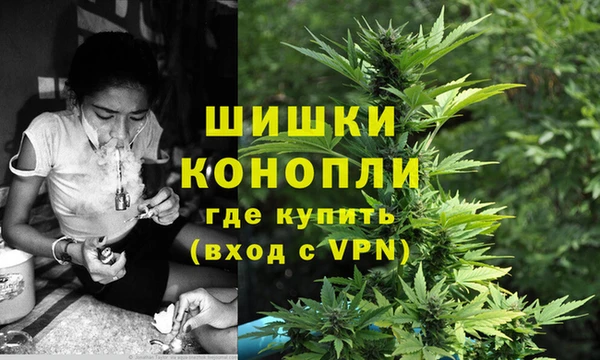 мет Инта