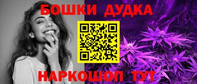 PSILOCYBIN Гатчина
