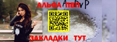 PSILOCYBIN Гатчина