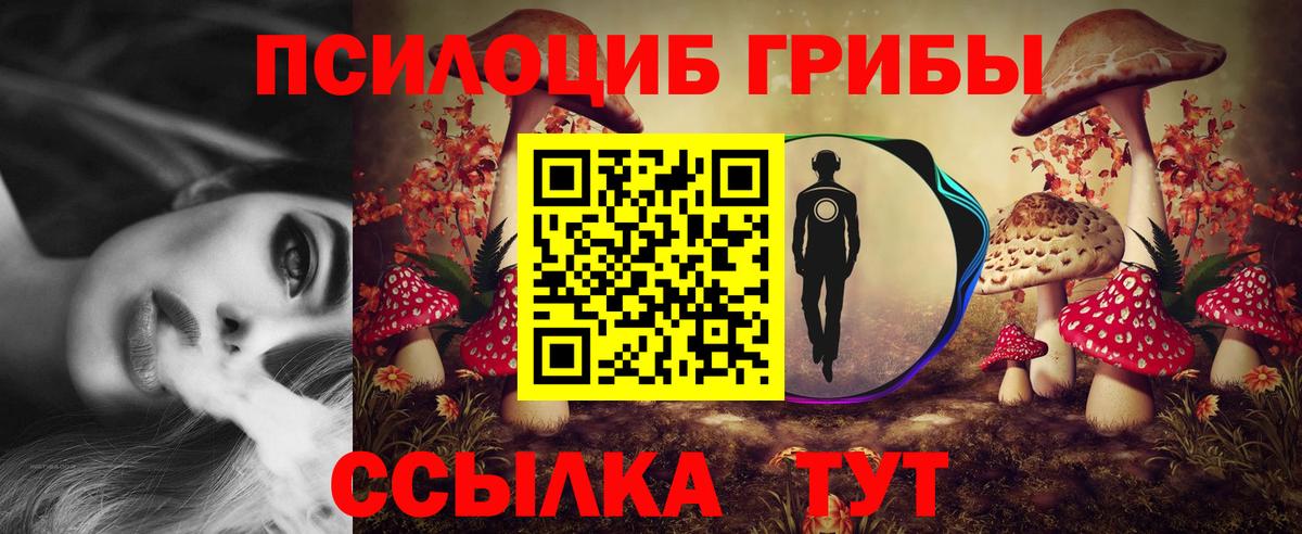 Псилоцибиновые грибы Psilocybine cubensis  Вход с VPN  Псилоцибиновые грибы Psilocybine cubensis  наркотики  Кизилюрт 