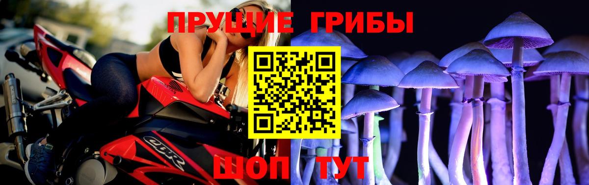 Галлюциногенные грибы Magic Shrooms Кизилюрт