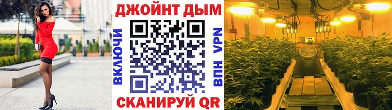 Канабис конопля  цены   Кизилюрт 