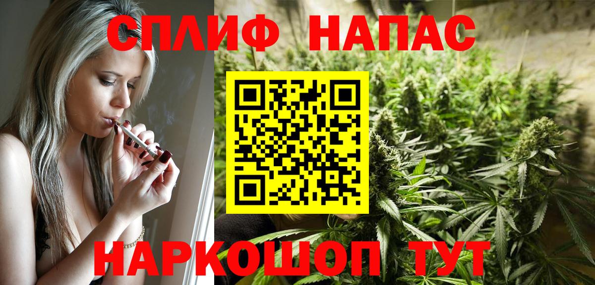 Марихуана гибрид  Каннабис OG Kush  МАРИХУАНА планчик  Кизилюрт  Вход с VPN  Бошки Шишки конопля 